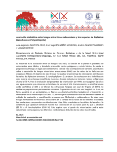 ID_1025_Bautista Cruz Ana Alejandra_MEM