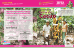Guía Tecnológica del cultivo de cacao