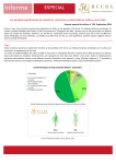 Informe completo