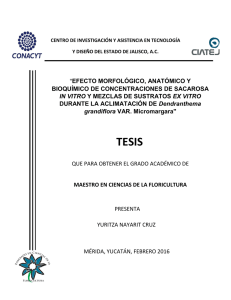 Yuritza Nayarit Cruz