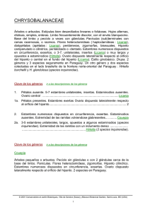 chrysobalanaceae - Ville de Genève