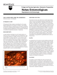 PDF En Español Lecanium del Fruto Europeo