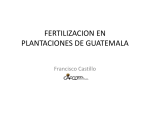 Fertilización en Guatemala