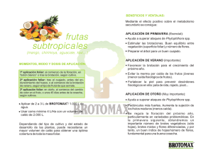 frutas subtropicales