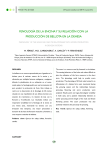 fenología de la encina y su relación con la producción de bellota en