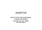 INJERTOS - Fundación Rural