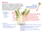 Fennel Spanish FINAL_updated.indd