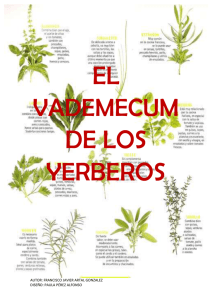 0 AUTOR: FRANCISCO JAVIER ARTAL GONZALEZ DISE&Ntilde;O