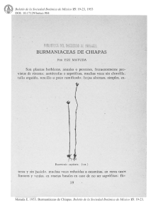 Descargar el archivo PDF