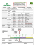 Programa - Productora