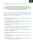 “EVALUACIÓN DE LA ACTIVIDAD ANTIOXIDANTE DE PLANTAS