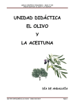 el olivo y la aceituna - Dto. de Dibujo IES Fray Bartolomé de las