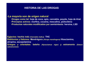 HISTORIA DE LAS DROGAS •La mayoría son de origen natural