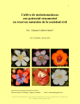 Cultivo de melastomatáceas con potencial ornamental en reservas
