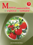tapa tomate - Plaguicidas y Alternativas