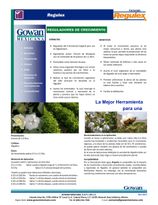 Regulex La Mejor Herramienta para una