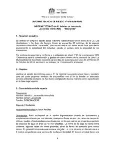 Jacarand - Municipalidad de San Isidro