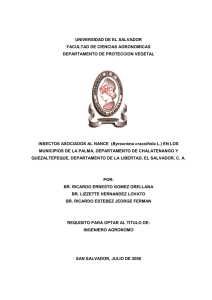 - Universidad de El Salvador