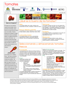 Tomates