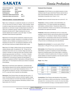 Cultural Information for