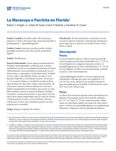 La Maracuya o Parchita en Florida - EDIS