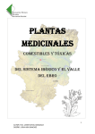 Plantas - Asociación de Amigos de Morillo de Tou