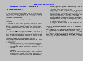 licores exoticos - Miniatures from Colombia