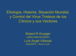 Etiología, Historia, Situación Mundial, y Control del Virus Tristeza de