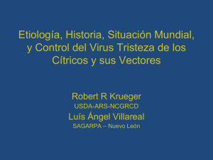 Etiología, Historia, Situación Mundial, y Control del Virus Tristeza de