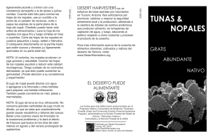 Tunas y Nopales - Desert Harvesters