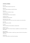 Español menu PDF