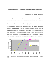 Dinámica de emergencia y control con herbicidas de Gomphrena