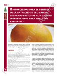 Biofungicidas para el control de la Antracnosis del Mango