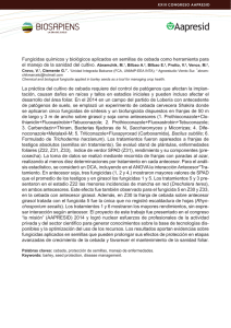 Fungicidas químicos y biológicos aplicados en semillas de cebada