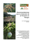 Recommendaciones para la Induccion de la Floración en Mangos