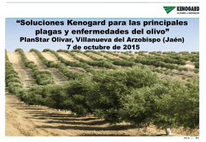 Soluciones Kenogard para las principales plagas y enfermedades