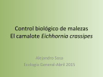 Control biológico del camalote