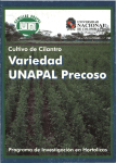 Cultivo de cilantro. Variedad UNAPAL Precoso