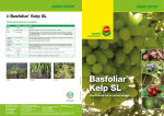 Basfoliar® Kelp SL