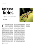 Jardineras - Revista Pesquisa Fapesp