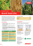Brandt Smart Zinc
