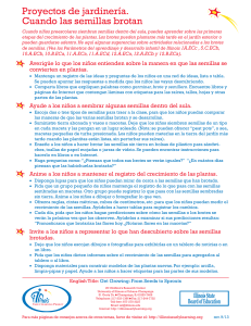 Proyectos de jardinería. Cuando las semillas brotan