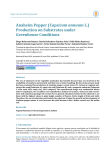 Anaheim Pepper (Capsicum annuum L.) Production on Substrates