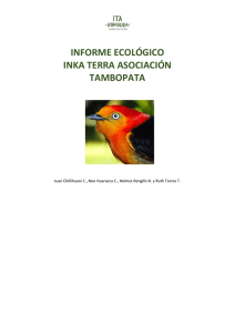 INFORME ECOL&Oacute;GICO INKA TERRA ASOCIACI&Oacute;N TAMBOPATA