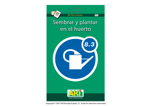 Cómo sembrar y plantar en el huerto