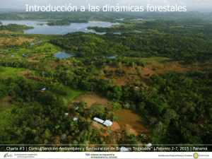 Introducción a las dinámicas forestales
