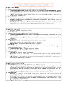 MONERAS, PROTOCTISTAS, HONGOS Y PLANTAS (Worksheet)