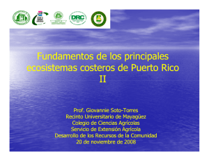Fundamentos de los principales ecosistemas costeros de Puerto