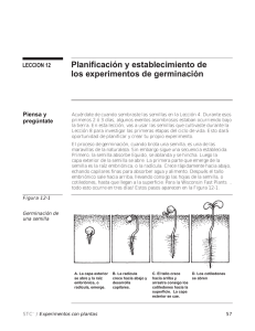 Planificación y establecimiento de los experimentos de germinación
