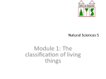 Unit 2: The classification of living things